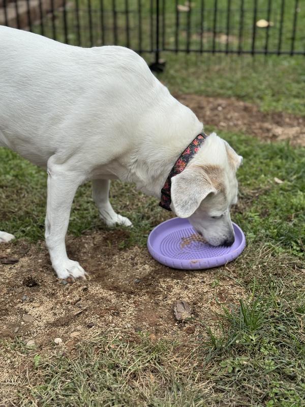 Sage flipped it over and found the peanut butter.