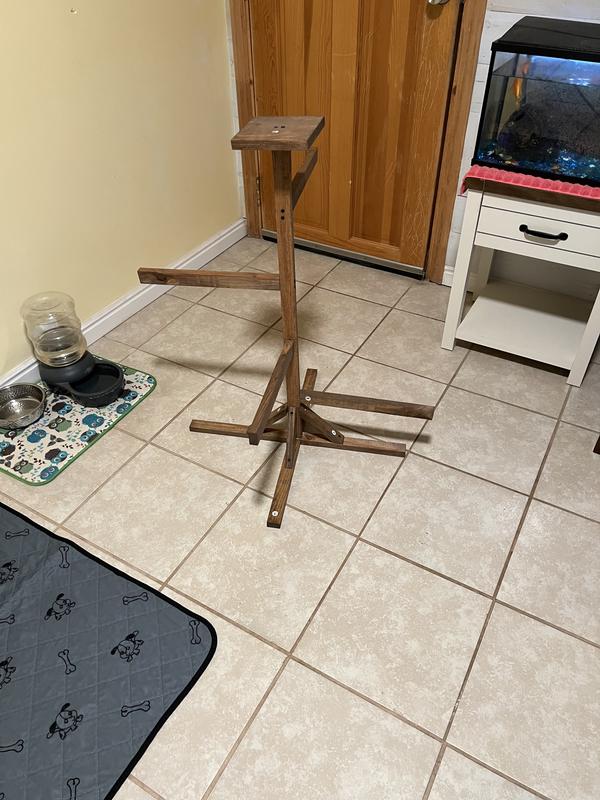 Shorter than my aquarium, about hip tall