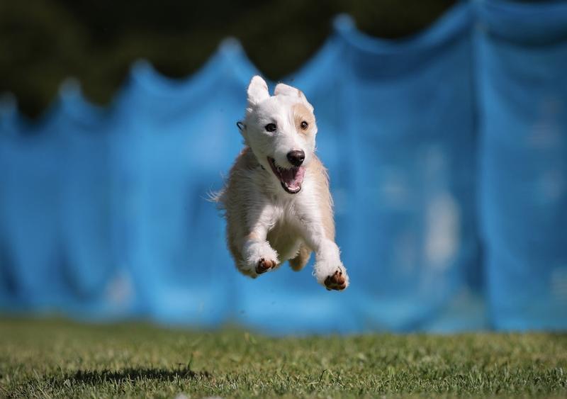 Zela having a blast at FastCAT between crate time