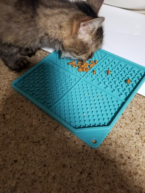 FRISCO Nonskid Square Silicone Dog & Cat Lick Mat, Teal