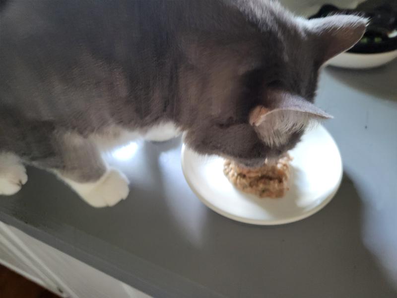 My hairball guy loves this!