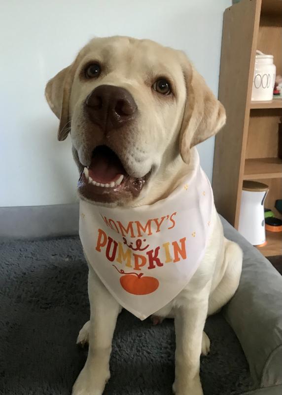 Frankie is ready for Fall!