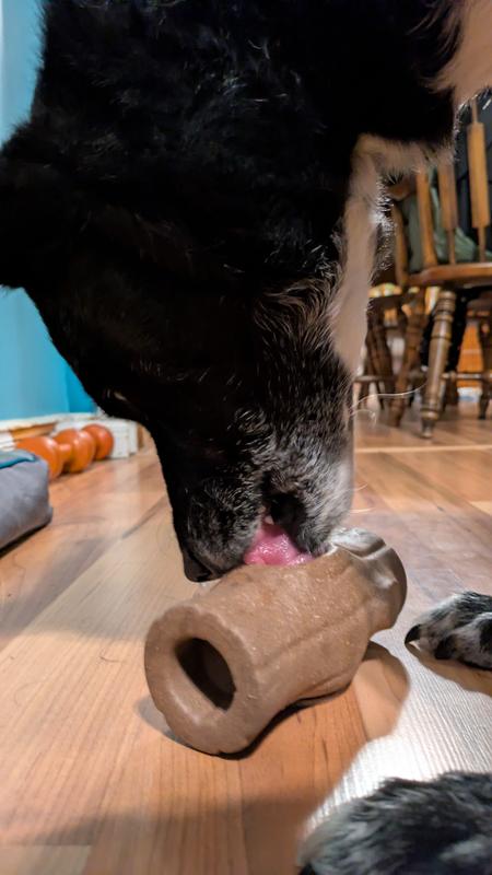 Indy enjoying the treat after I finally got it in there