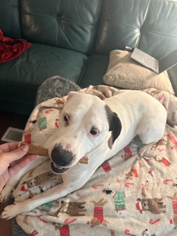 Willow thinks they smell good, & are yummy too!