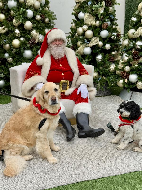 Hope Santa brings more of them!!!!!