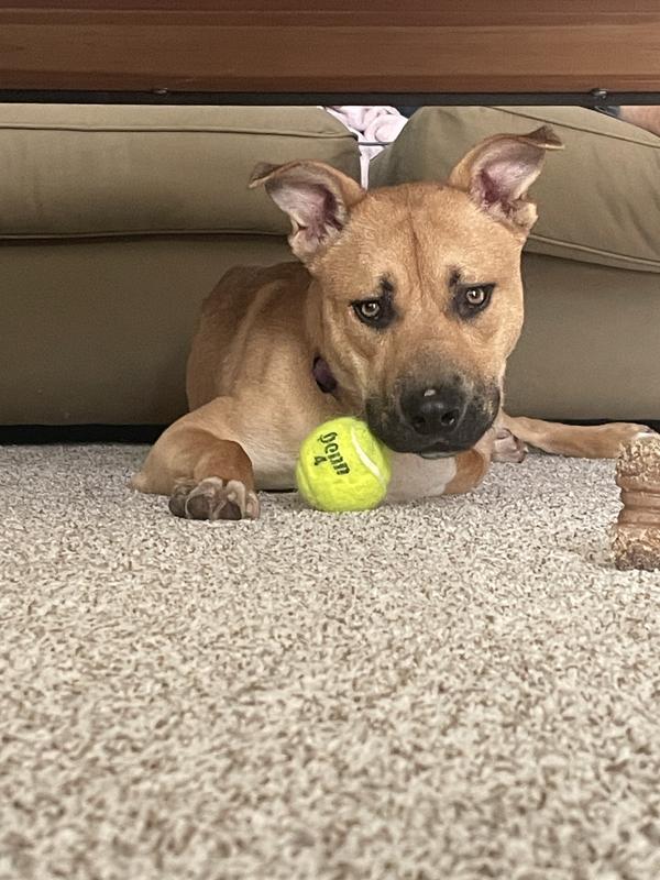 Bourbon after meal time
