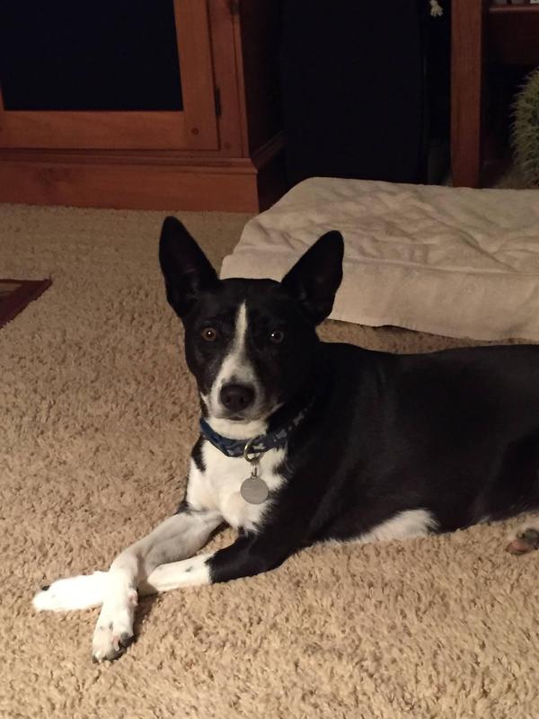 Doing well at age 12