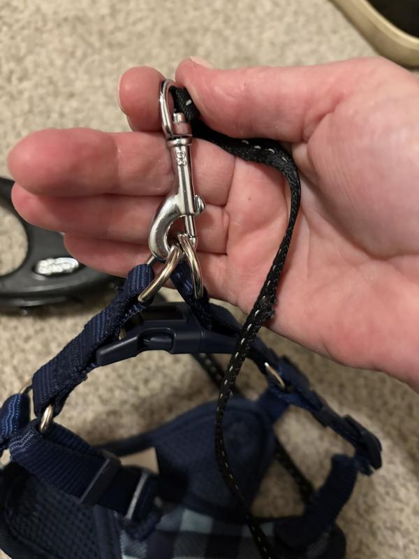 Clip on harness double ring