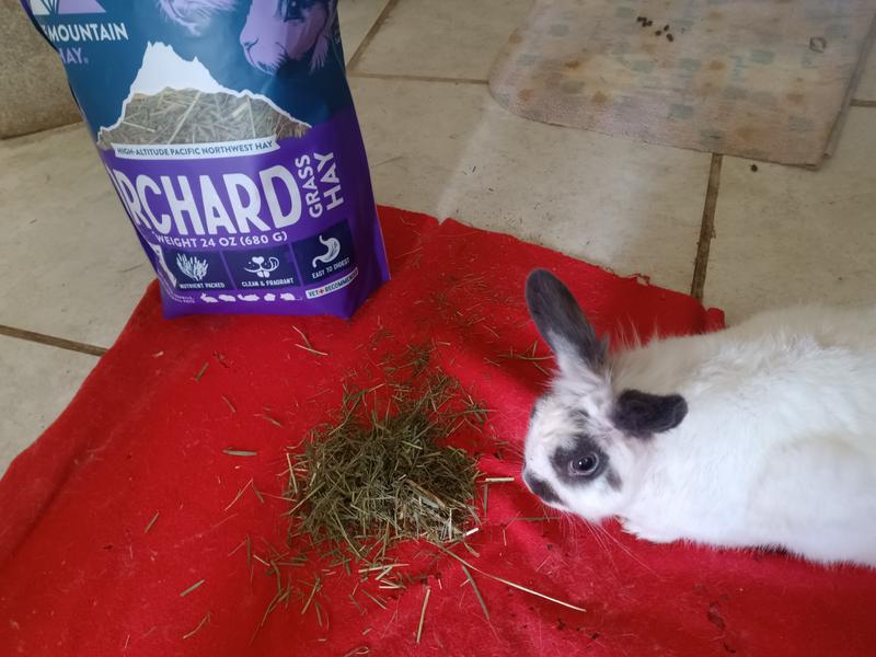 Sista F says" Mommy. You are going to buy more, right?"