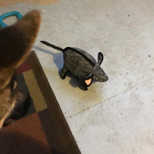 The moment before the lunge!!