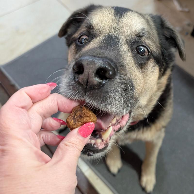 Accepted by the most difficult