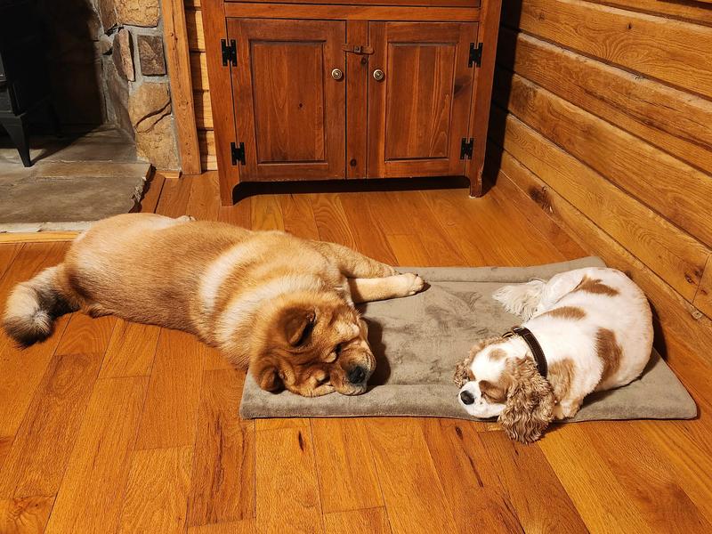 Naptime...Zzzz...