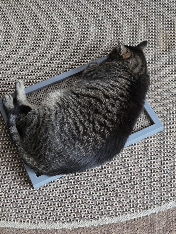 They found multiple uses for it