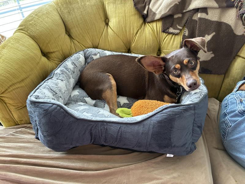 Kendra likes her new bed!