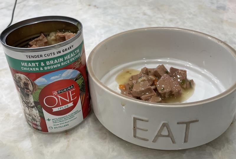 Prior to mixing with dry food.