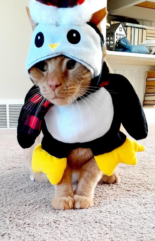 Penguin outfit 2024 for dog