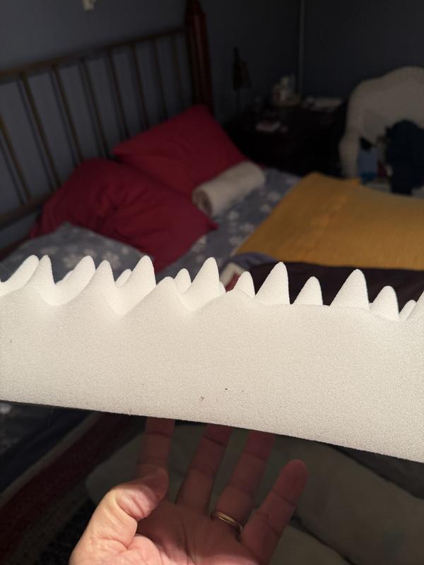 Should have expanded to this height