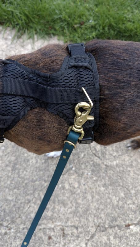 D rings keep rotating