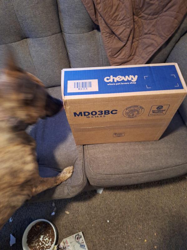 Can I open my present that came in the mail for me