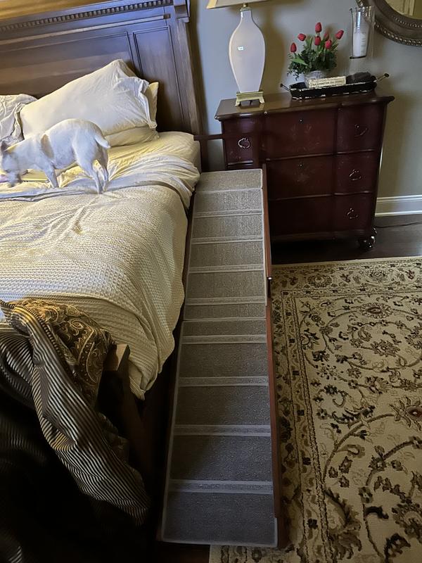 Perfect for my JRT. Perfect height for my bed.  He loves it