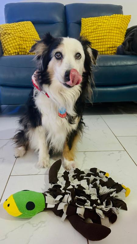 Yummy treats hidden everywhere!