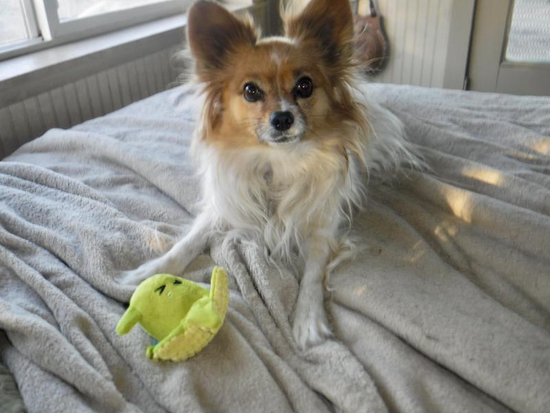 Mattie's pretty proud of her "baby" here