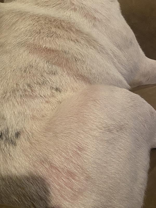 More pink spots on her body