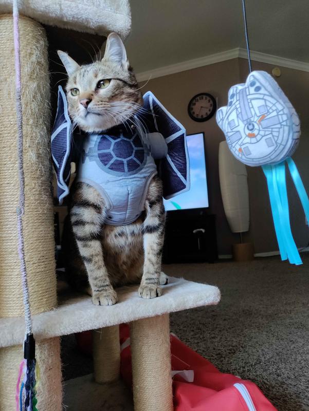 Star wars cat costumes sale