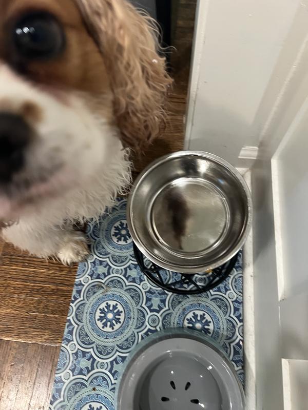 Licked the bowl CLEAN!