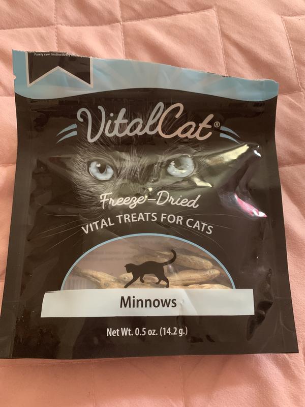 VITAL ESSENTIALS Minnows Freeze-Dried Raw Cat Treats, 0.5-oz bag 
