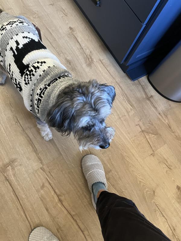 Seriously cute reindeer sweater