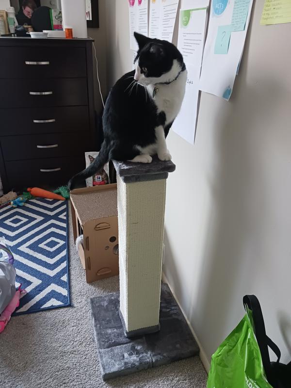 FRISCO 33.5in Sisal Cat Scratching Post, Brown