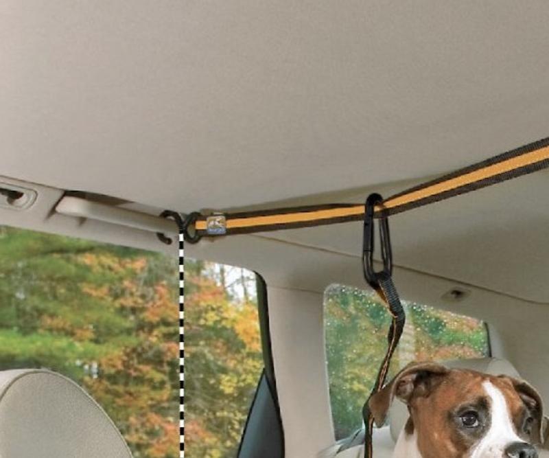 The photo on the Chewy website showing how it's can be hooked up to the car