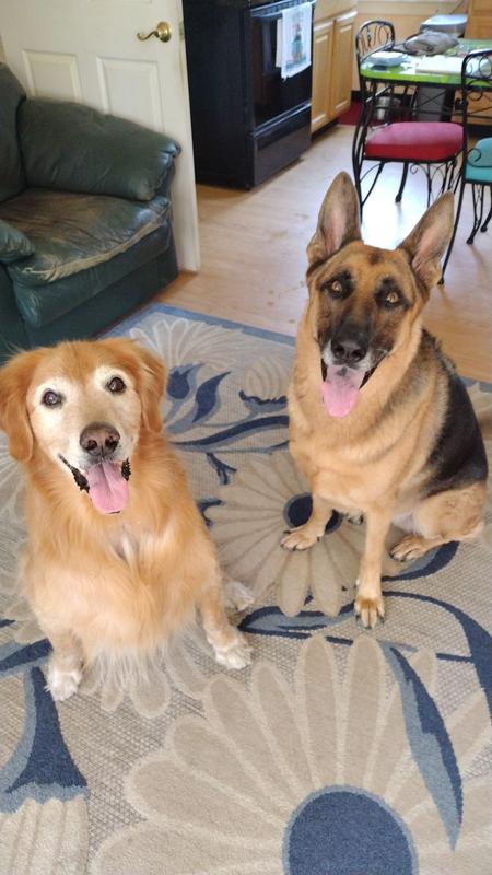 Stinkers don't stink