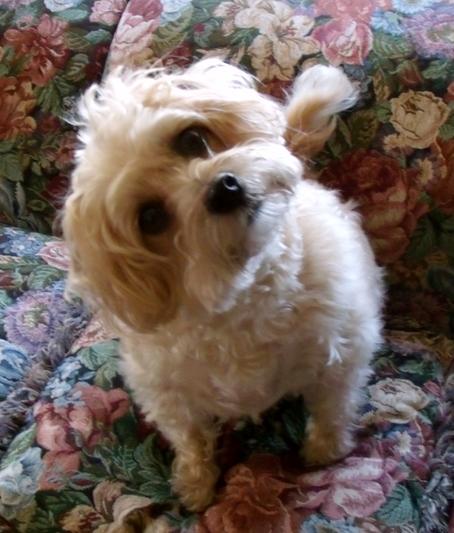 Annie at 10 years