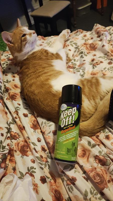 FOUR PAWS Keep Off Outdoor Indoor Cat Repellent Spray 6 fl oz bottle Chewy