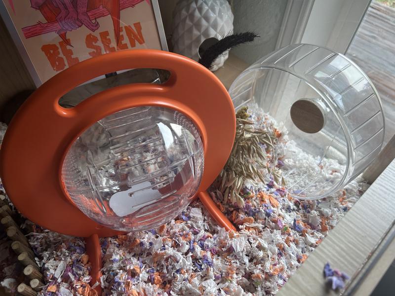 Next to a 10inch wheel