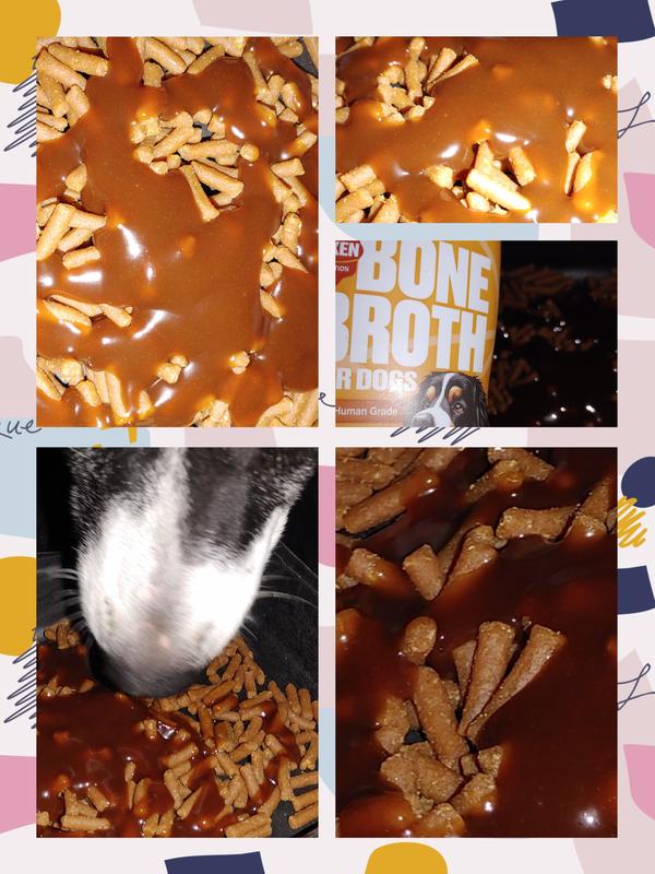 Princess loves Furvor Chicken Broth!