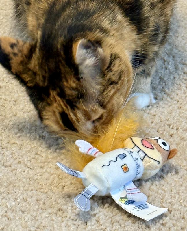 Kitty loves the feathers