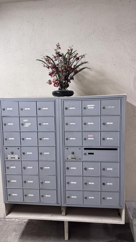 My mail area