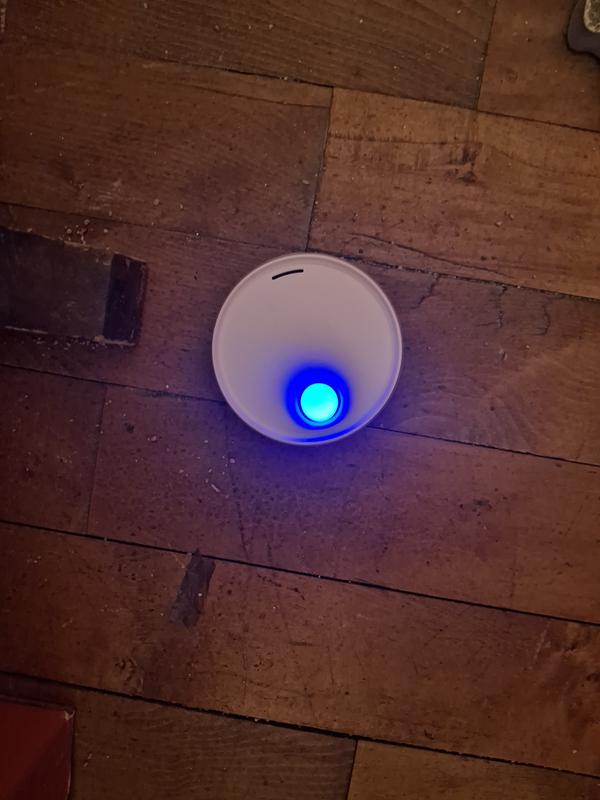 Placed on floor near the litter boxes