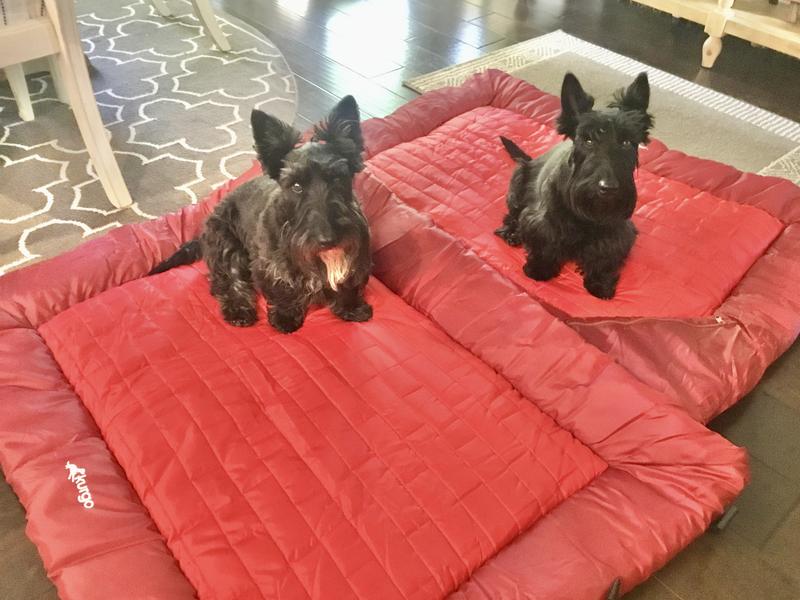 We’re ready to go camping!