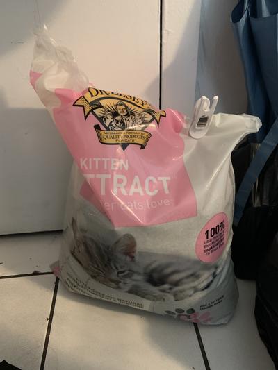 Kitten attract hotsell litter reviews