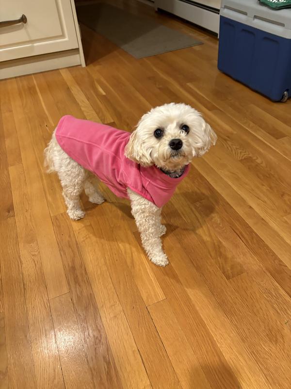 Birdie and her base layer