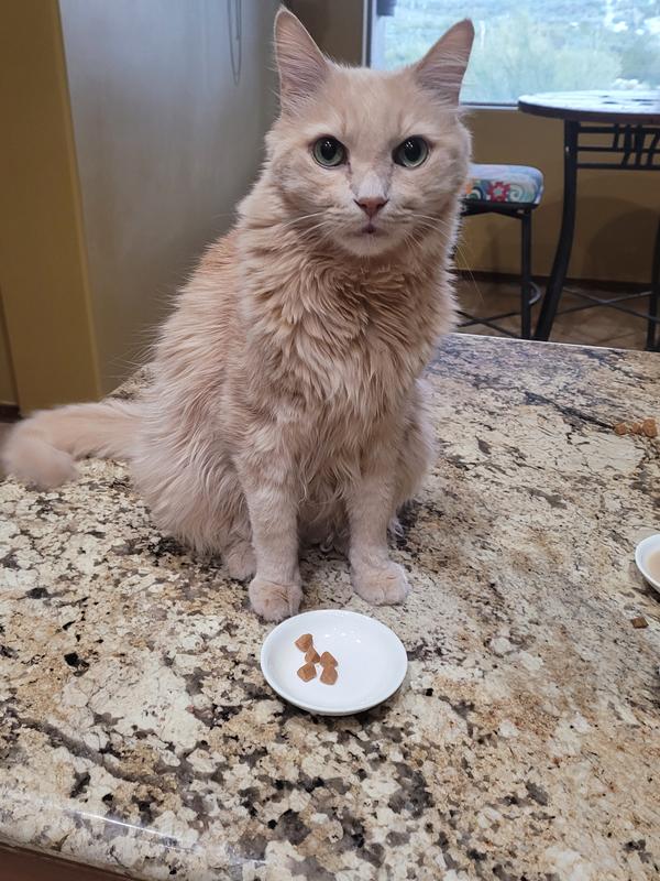 Otis and his treats (not crumbled)