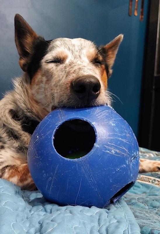 He can't get enough! Even sleeps with it!