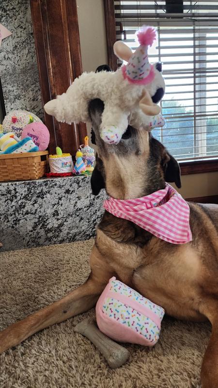 Lily loves Lamby