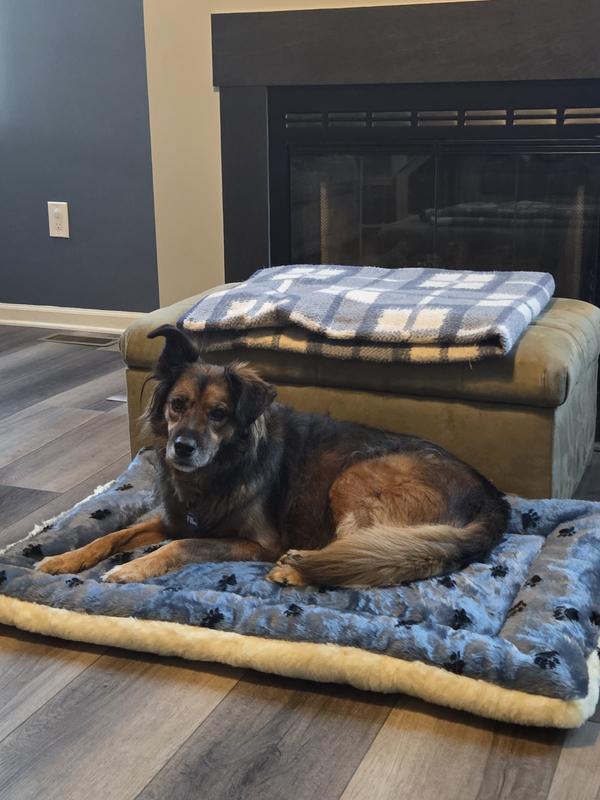 Thanks mom for the comfy new bed!