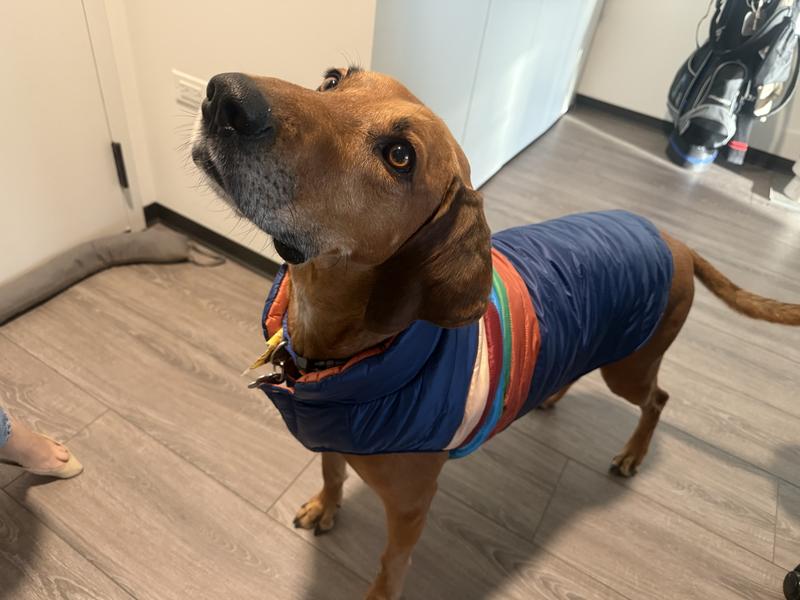 Durk and his new jacket