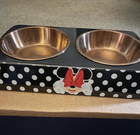 Minnie mouse dog clearance bowl